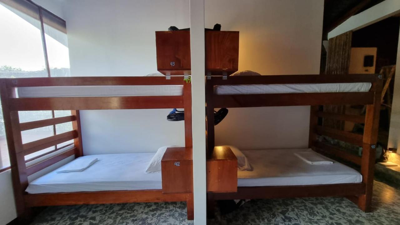 Paradiso Hostel La Laguna Exteriér fotografie