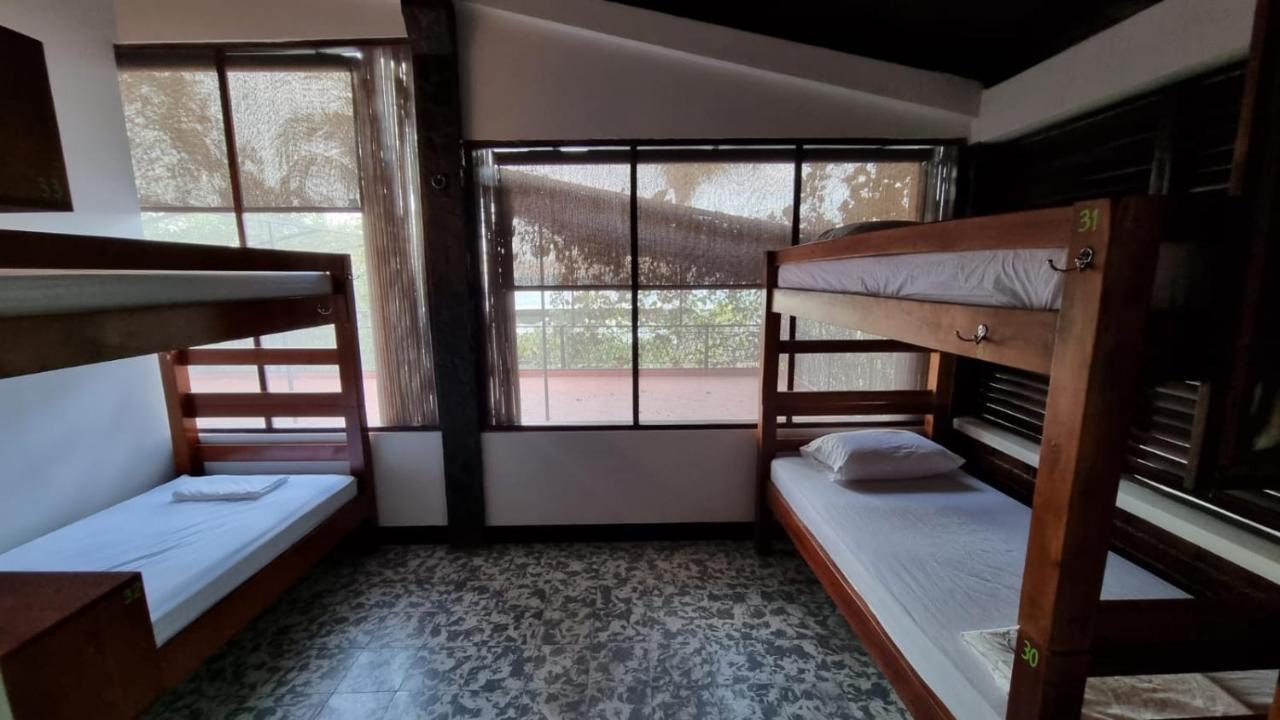 Paradiso Hostel La Laguna Exteriér fotografie